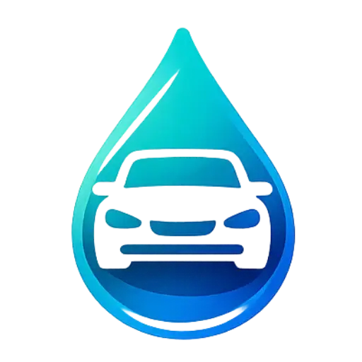 Lavage auto à domicile Poil